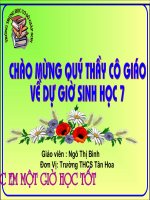 bai 23 th mo tom sinh hoc 7