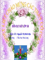 tập đọc tuần 8