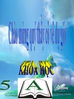 Bài 24: Đồng và hợp kim của đồng(hay)