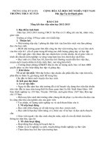 Báo cáo thư viện năm 2012_ 2013