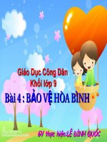 bao ve hoa binh