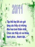 Hoa tặng thầy cô