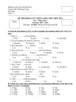 khảo sát anh 7 giữa kì I