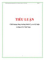 tiểu luận  chất lượng tăng trưởng kinh tế_cơ sở lý luận và thực tế ở việt nam