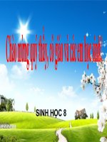 tiết 25 sinh 8: TIÊU HÓA VÀ CÁC CƠ QUAN TIÊU HÓA