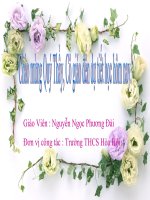 tiết 13 - ôn tập lí kéo chài-tdnso4