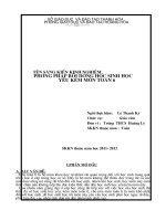 Phương pháp bồi dưỡng học sinh yếu kém môn Toán khối 6