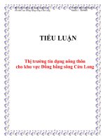 tiểu luậnthị trường tín dụng nông thôn cho khu vực đồng bằng sông cửu long