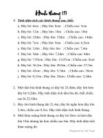 Bài tập hình thang 1