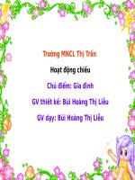 giáo an dạy hoạt động chiều