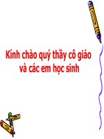 Phòng trừ sâu bệnh hại.new