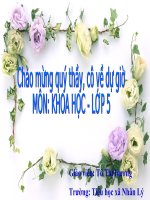 Khoa học lớp 5. Bài 26: Đá vôi