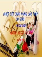 Tiet 39 : Ngau nhien viet nhan buoi moi ve que