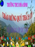 bài 20 vùng Đồng bằng sông Hồng