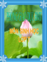 ĐẶC ĐIỂM CHUNG VÀ VAI TRÒ CỦA NGÀNH THÂN MỀM(GA thi GVG)