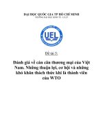 tiểu luận đánh giá về cán cân thương mại của việt nam. những thuận lợi, cơ hội và những khó khăn thách thức khi là thành viên của wto