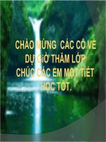 miêu tả và biểu cảm