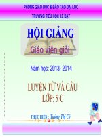 LTVC- MRVT : BẢO VỆ MÔI TRƯỜNG- TUẦN 13