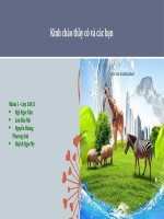 Bài 18: ẢNH HƯỞNG CỦA ĐẤT VÀ ĐỊA HÌNH ĐẾN SỰ PHÁT TRIỂN VÀ PHÂN  BỐ SINH VẬT