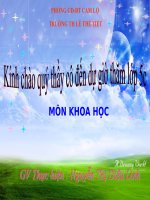 Bài 19 phòng tránh tai nạn giao thông đường bộ