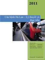 tiểu luận  căn bệnh hà lan – lý thuyết và thực tiễn