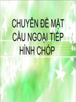 Mặt cầu ngoại tiếp