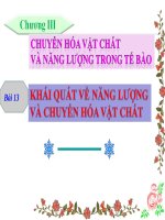 Bài 13 Khái quát về năng lượng và chuyển hóa vật chất