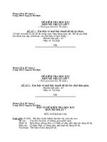 Đề kiểm tra MT 7