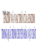 bai 14: enzim vai tro cua enzim trong qua trinh chuyen hoa vat chat