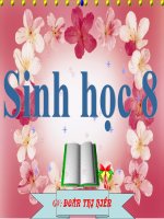 Tiết 22 sinh 8 bai hoat dong ho hap