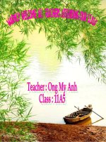 E.11 UNIT 8: SPEAKING