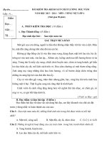 Bai khao sat dau nam