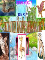 XEM BĂNG HÌNH VỀ ĐỜI SỐNG CỦA THÚ