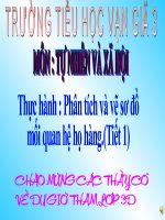 Thực hành phân tích và vẽ sơ đồ mối quan hệ ho hàng (Tiết 1)