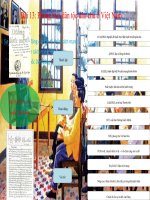 su ra doi cua cac to chuc cach mang