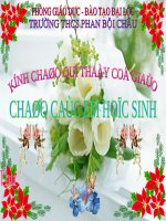 cây có hô hấp không cục hay