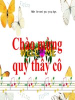 BÀI GIẢNG ĐIỆN TỬ