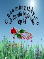 Tiet 50 cach lam bai van ve tpVH- L7