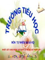 Tu nhien xa hoi lop 3 nam 2013_ Cac hoat dong thong tin lien lac