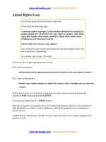 ielts essay sample; animal rights
