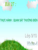 Bài 27. Thực Hành: Quan Sát Thường Bình