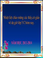 Su sinh san cua thuc vat co hoa Tuan 26
