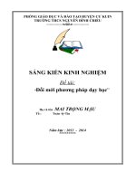 BIA SKKN doi moi.doc