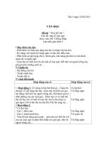 giáo án thi GVDG cấp tỉnh