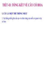 Tiết 43 - Tổng kết về cây có hoa