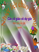 bai Tập làm văn lớp 5 tiết 2 tuần 8