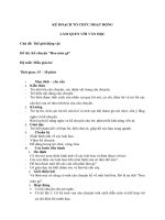 Giaó án hoa mào gà