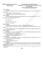 Đề thi + Đáp án HSG huyện Giong Trom 2013