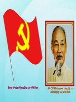 Lịch sử Đảng Cộng sản Việt Nam