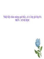 Các cơ quan hô hấp(Sinh học)